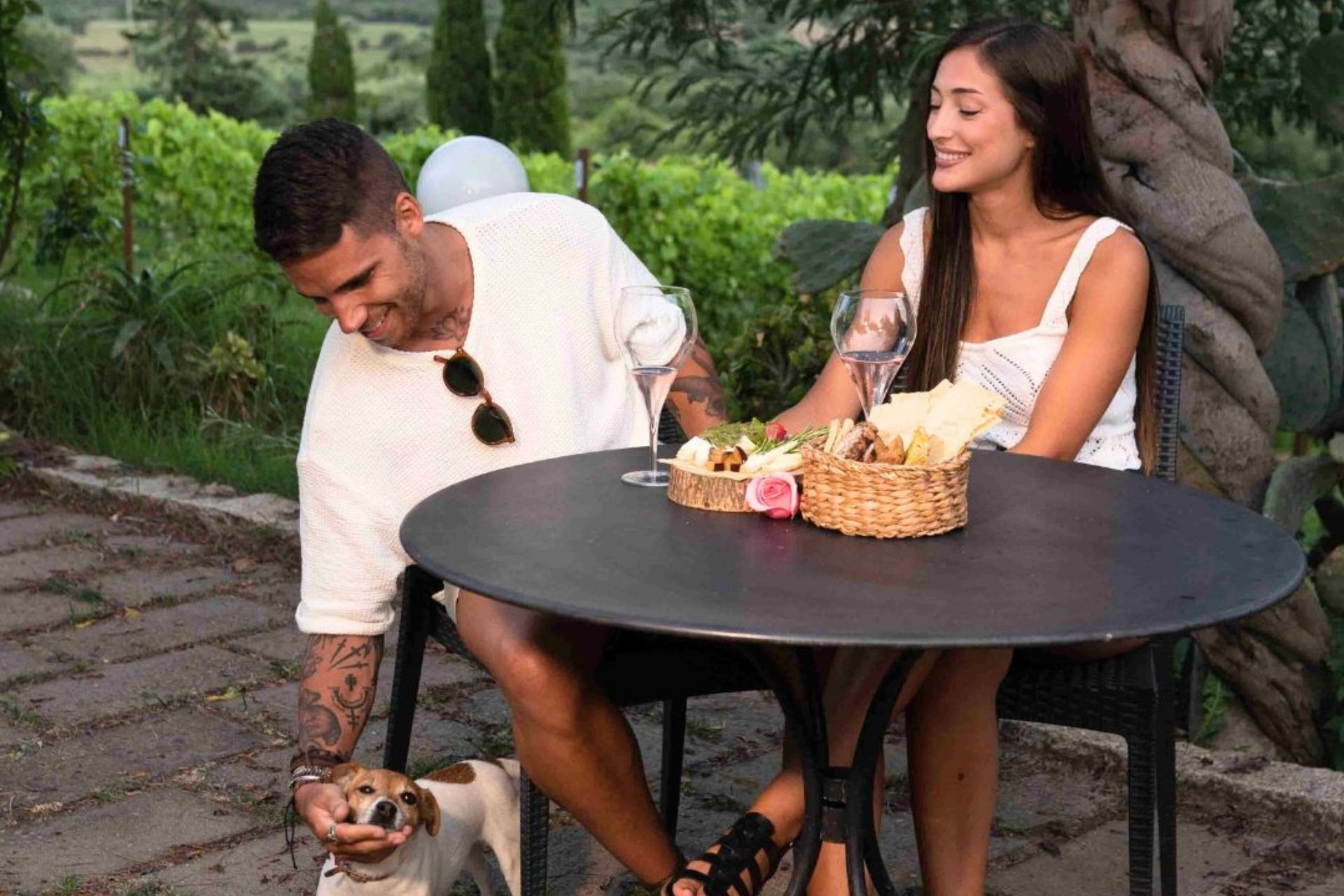 Huéspedes curiosos en la bodega Gallura, cerca de Olbia Translate