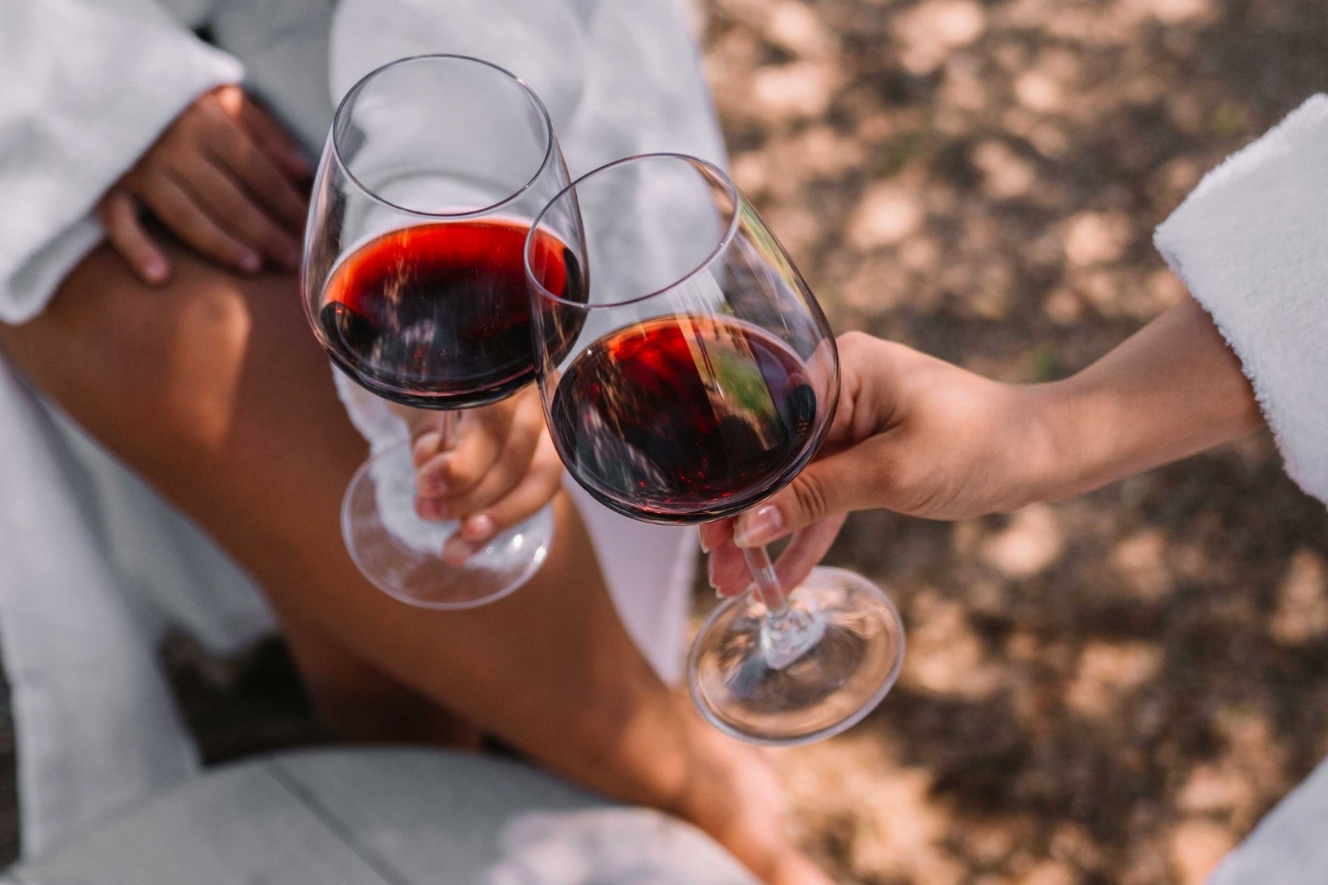 Brindis y degustación en un viñedo de Gallura