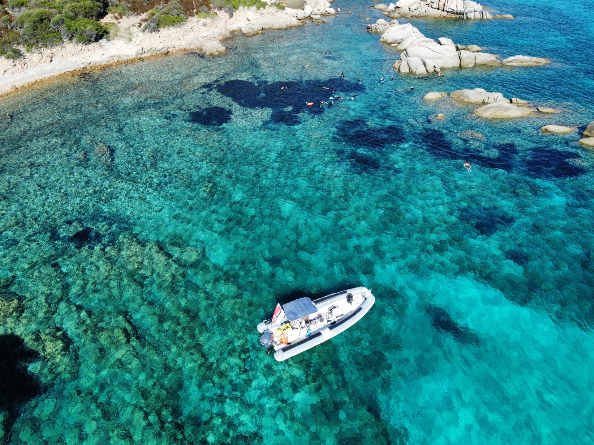Image of a group of people snorkeling in clear, turquoise waters with lively fish around them, with rocks and vegetation on the shore and a golden atmosphere of the sunset.