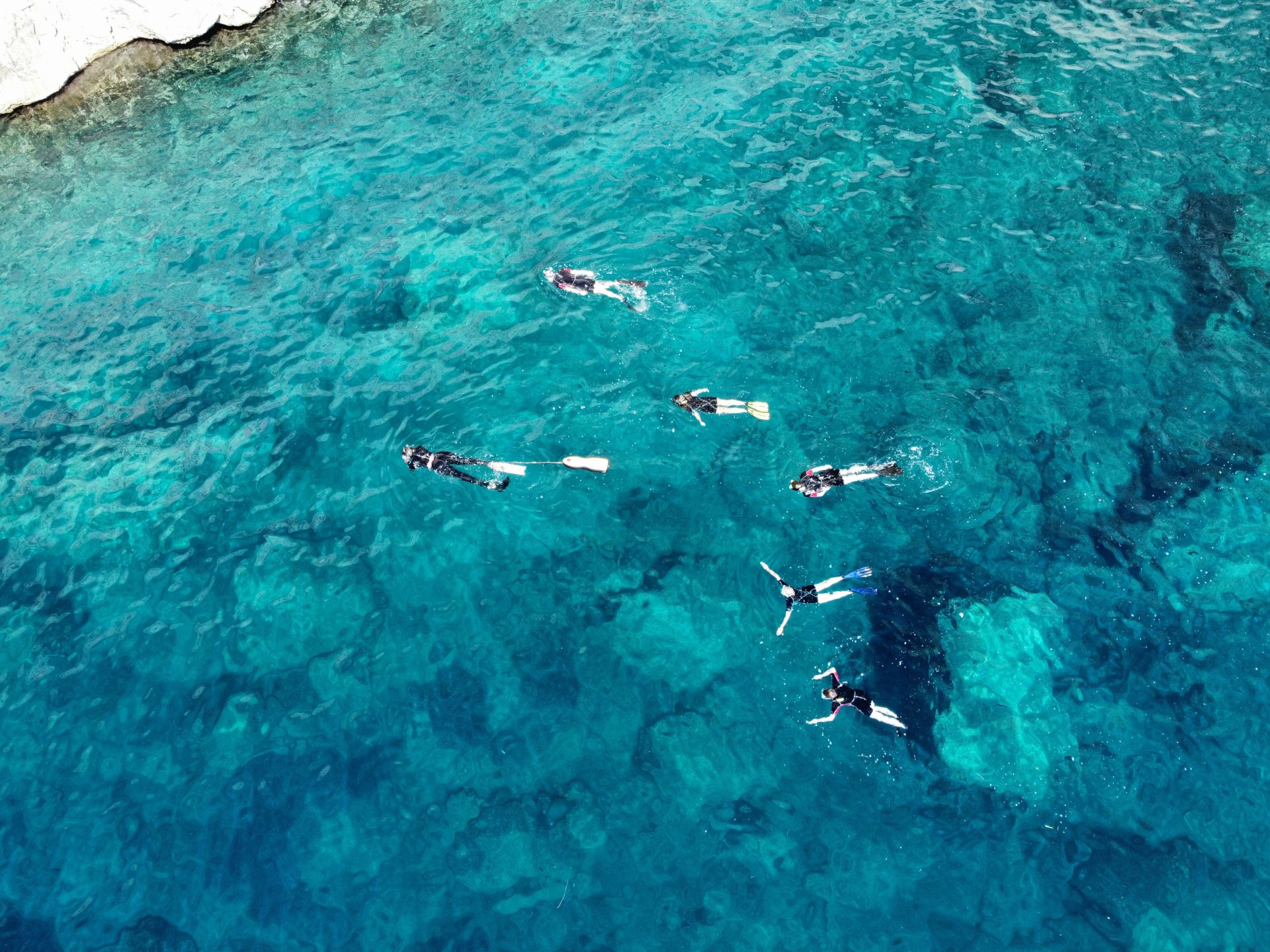 Groups of people snorkeling in the clear blue waters of the Marine Protected Area of Tavolara, Sardinia