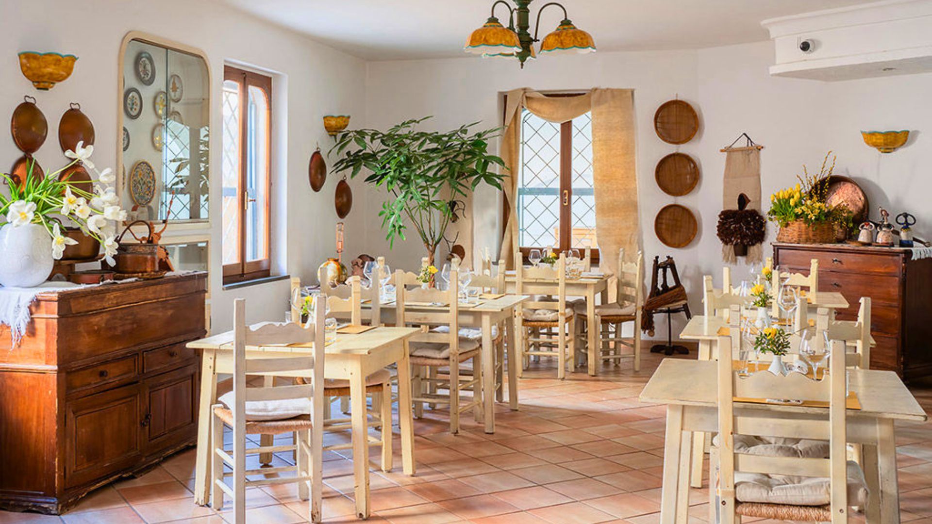 Laboratorio di pizza in una cucina con tavoli e sedie, piante e decorazioni murali