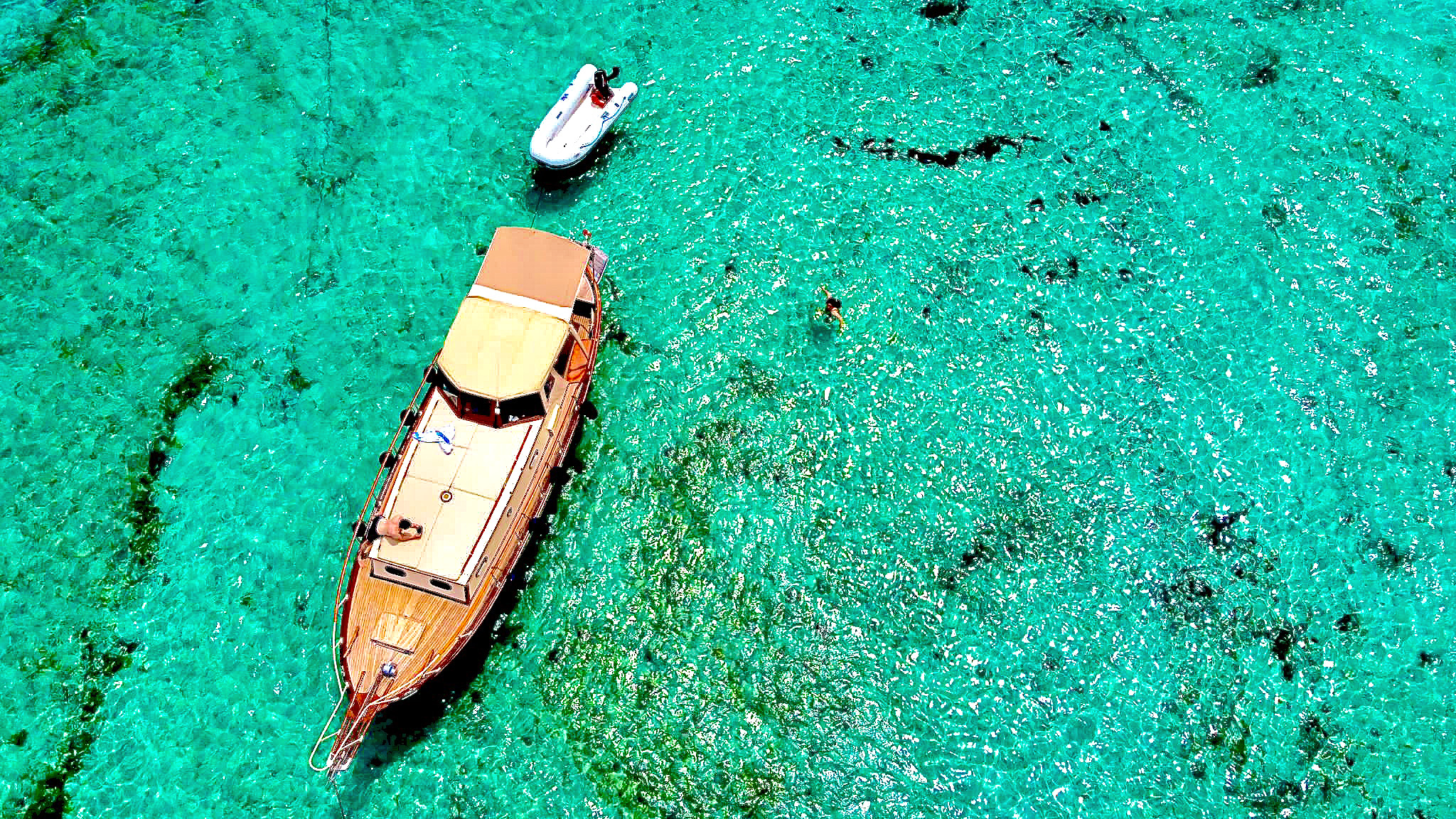 Bild eines Kropfs und eines Motorbootes in kristallklarem Wasser mit schwimmenden Menschen in der Nähe.