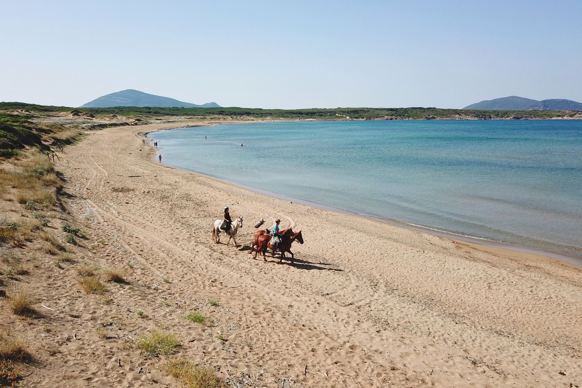 Cavalli e spiaggia di Porto Ferro