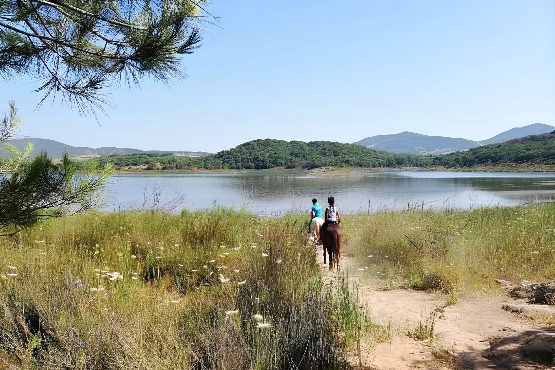 Passeggiata a cavallo al Lago di Baratz