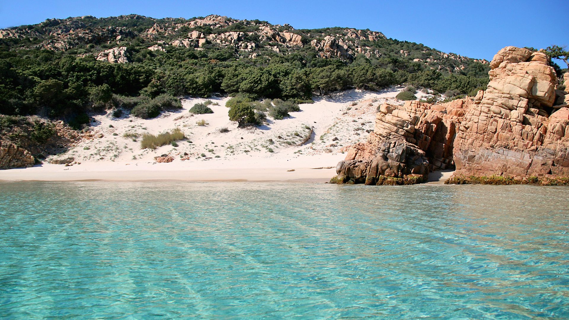 Un'immagine di una spiaggia con sabbia bianca e rocce granitiche, circondata da una vegetazione verdeggiante sotto un cielo azzurro