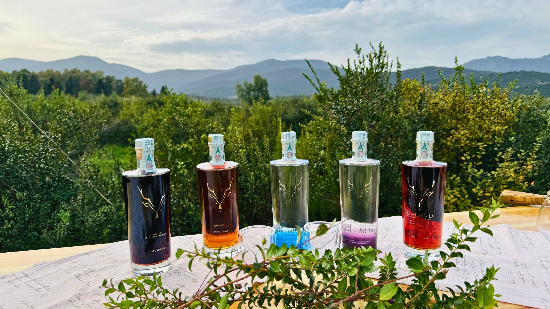 Degustación de destilados artesanales en una granja de Castiadas, Cerdeña