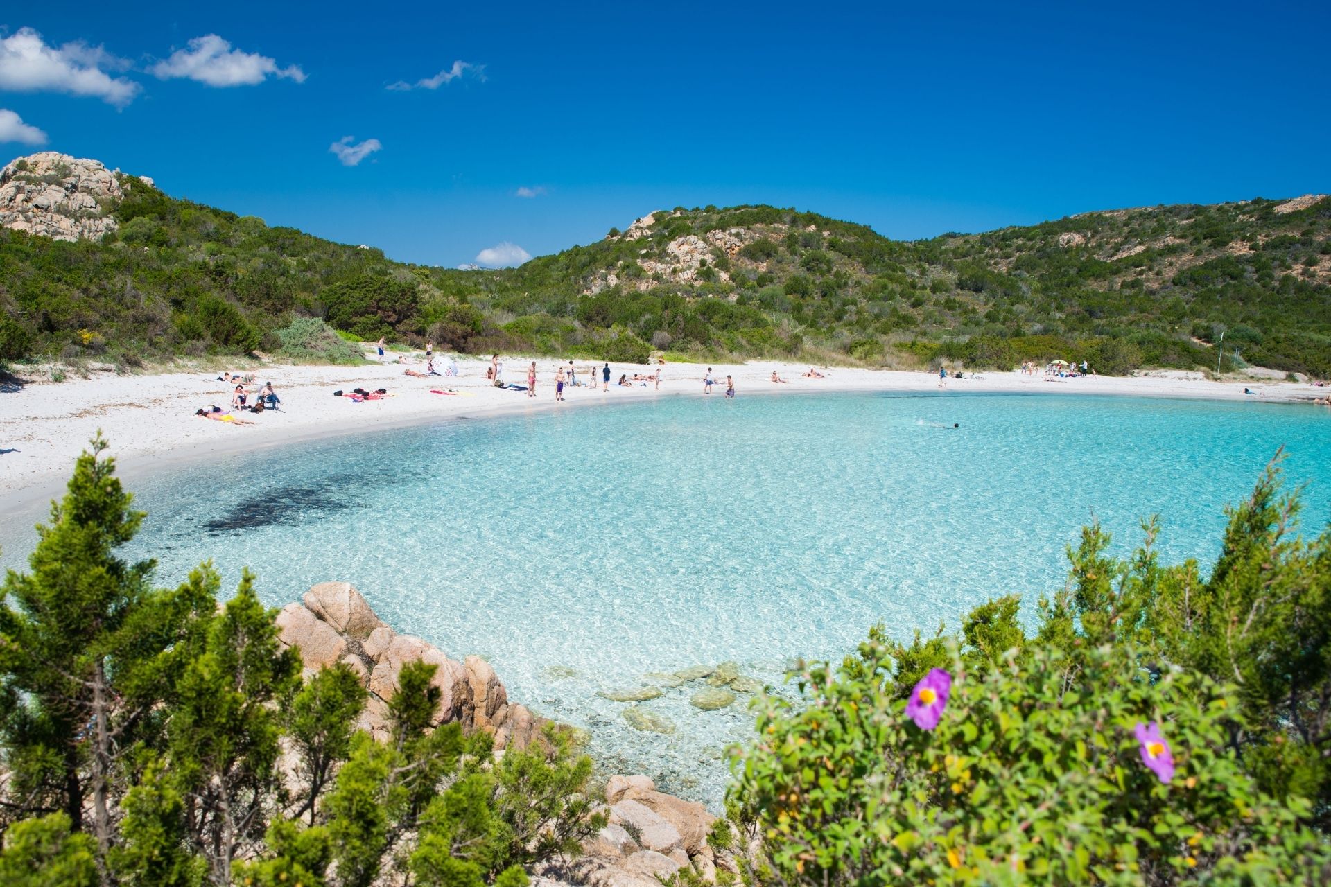 Erreichen Sie die Smaragdküste mit einem komfortablen privaten Transfer von Olbia nach Arzachena