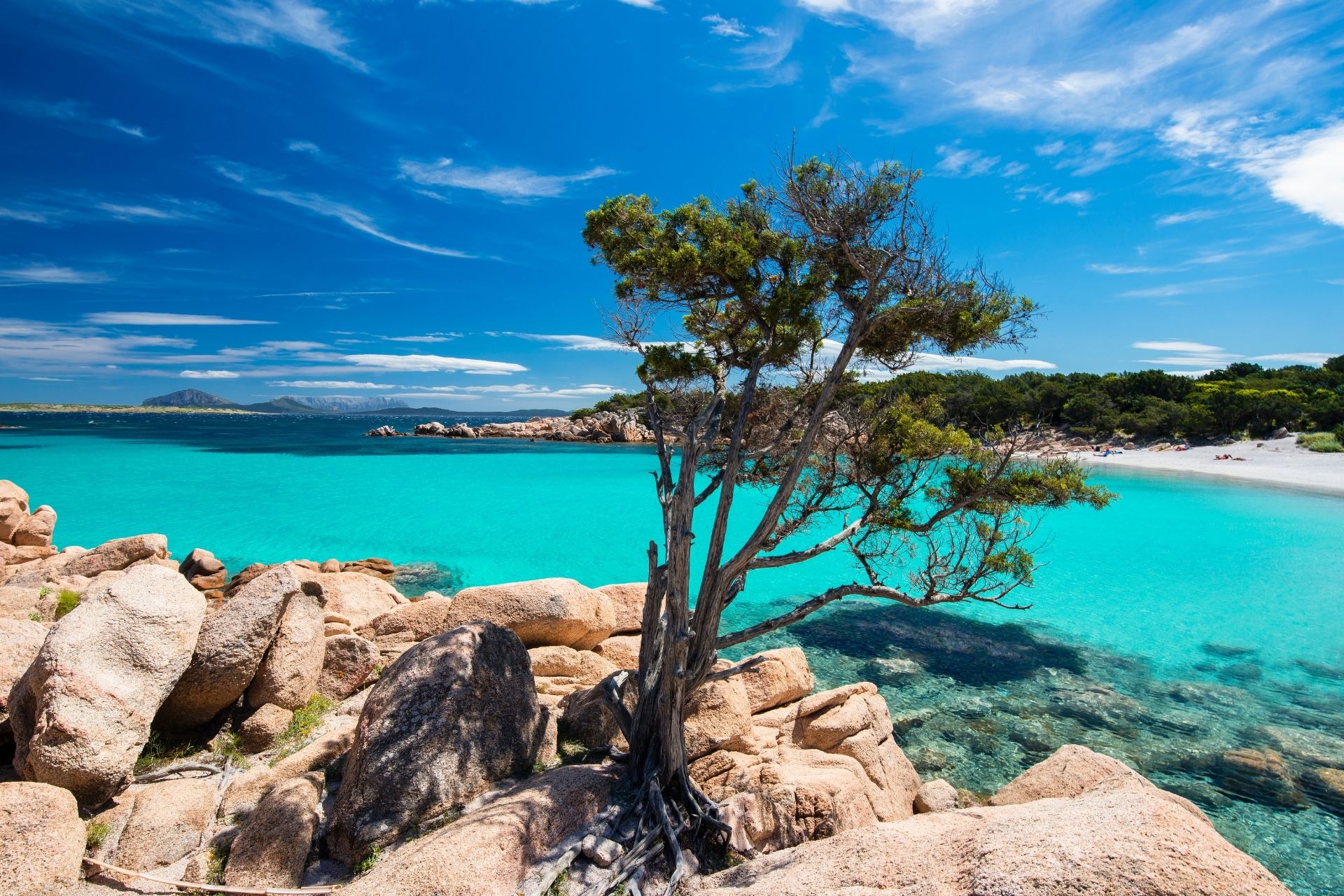 Erreichen Sie die Smaragdküste mit einem komfortablen privaten Transfer von Olbia nach Arzachena