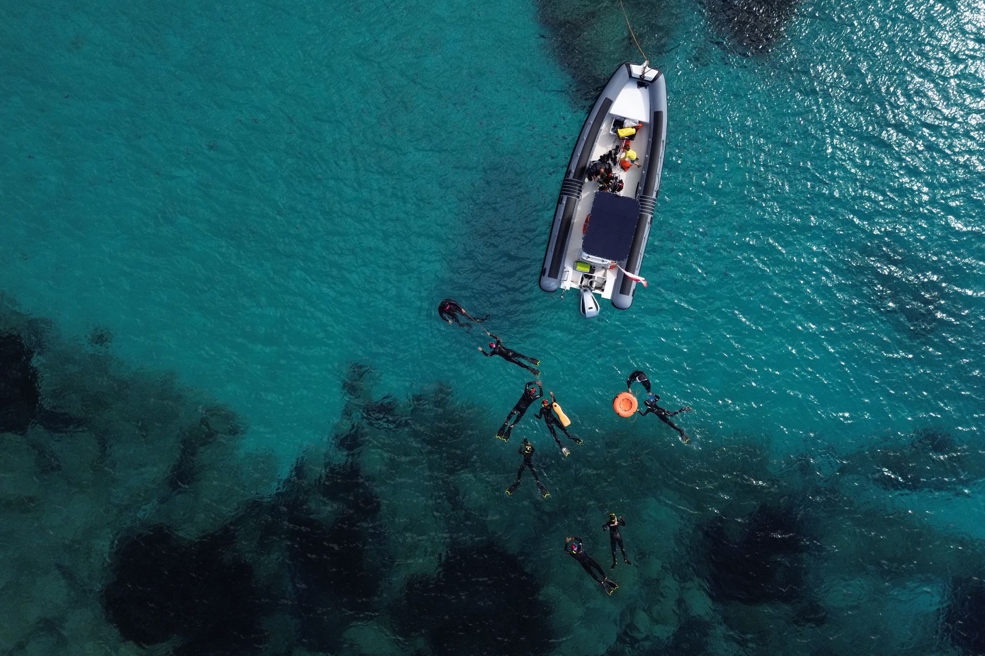 Immagine di un gruppo di persone che fanno snorkeling in mare, con un gommone in sosta nelle vicinanze. Le acque sono limpide e ricche di pesci.