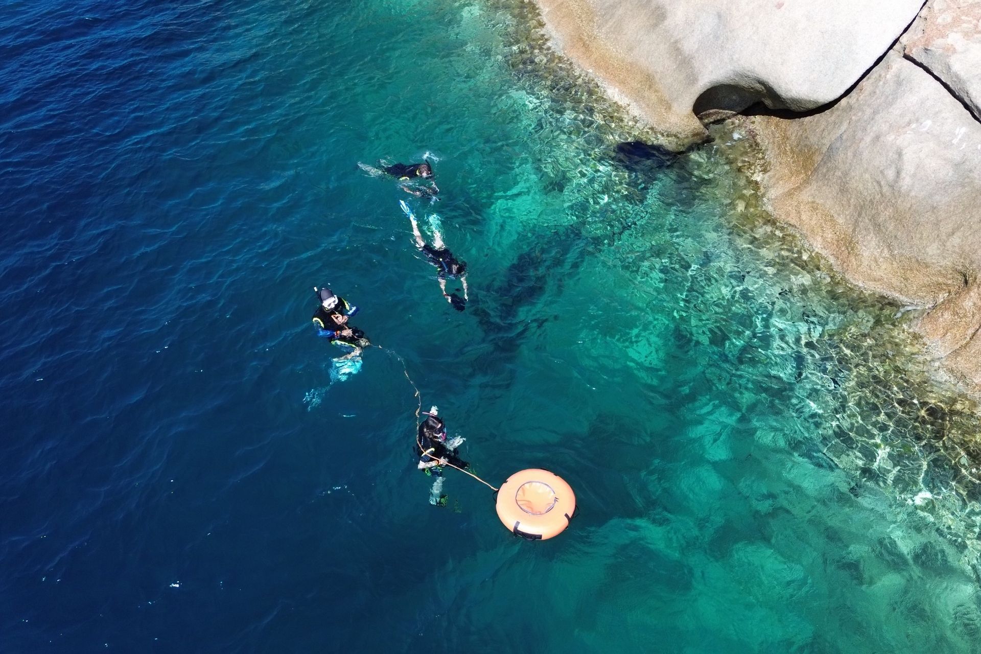 Immagine di un gruppo di subacquei che snorkeling nelle acque cristalline vicino a una scogliera rocciosa.