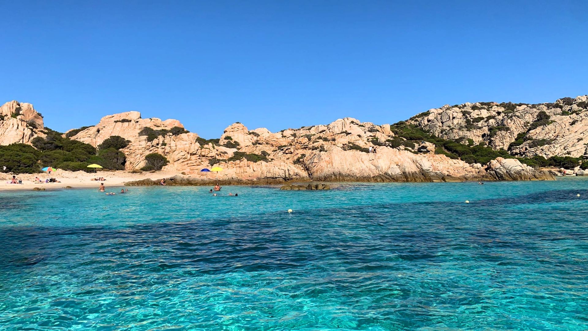 Imagen de un grupo de personas nadando en un mar azul con rocas de fondo