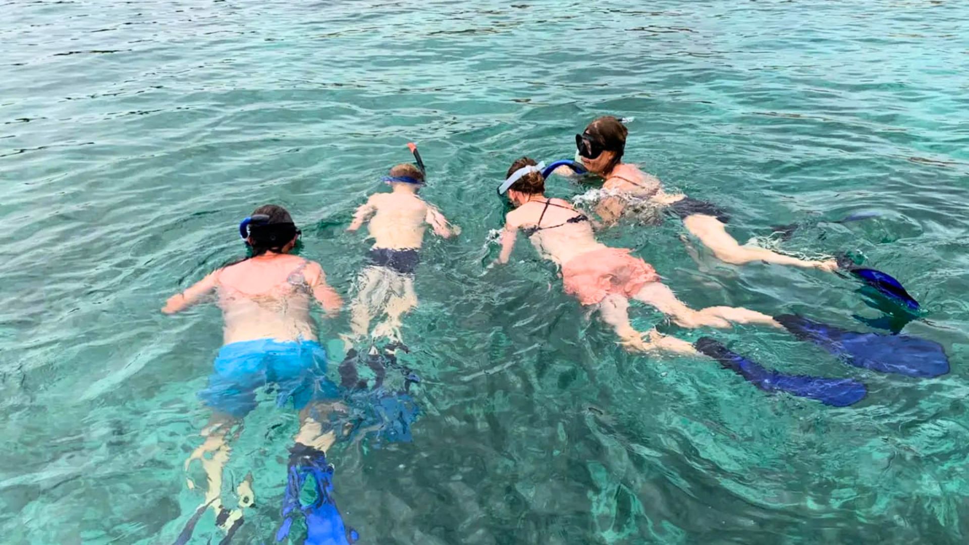 Grupo de personas buceando en las aguas cristalinas del archipiélago de La Maddalena