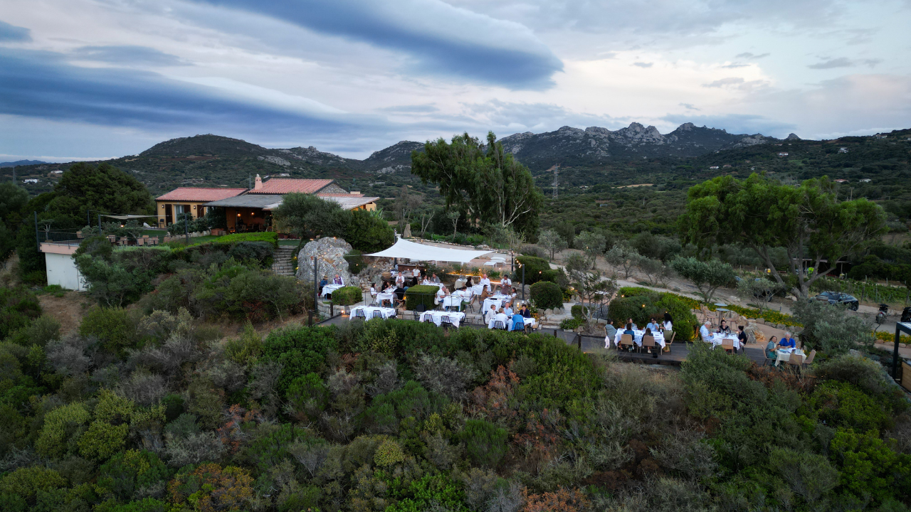 Eine sardische Kochstunde in einem Weinberg mit Meerblick, bei der Sie lernen, traditionelle Gerichte wie Seada und Carapigna zuzubereiten, gefolgt von einer geselligen Verkostung.