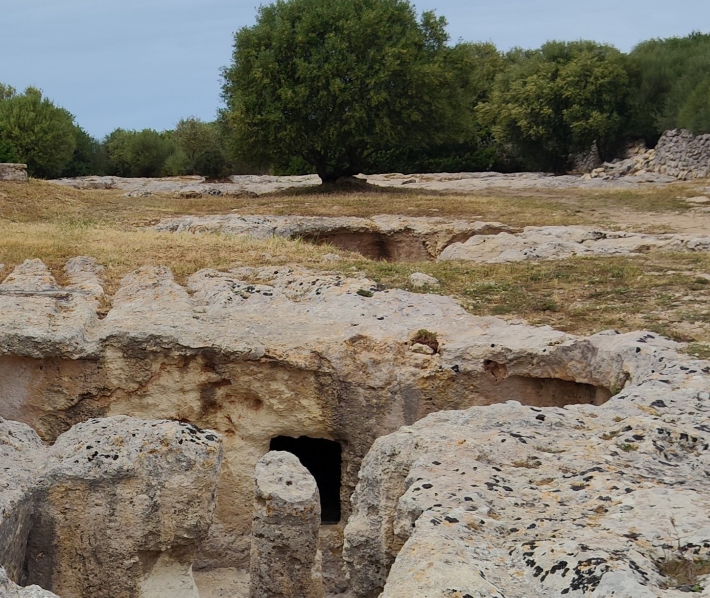 Necropolis of Su Crucifissu Mannu, Sardinia