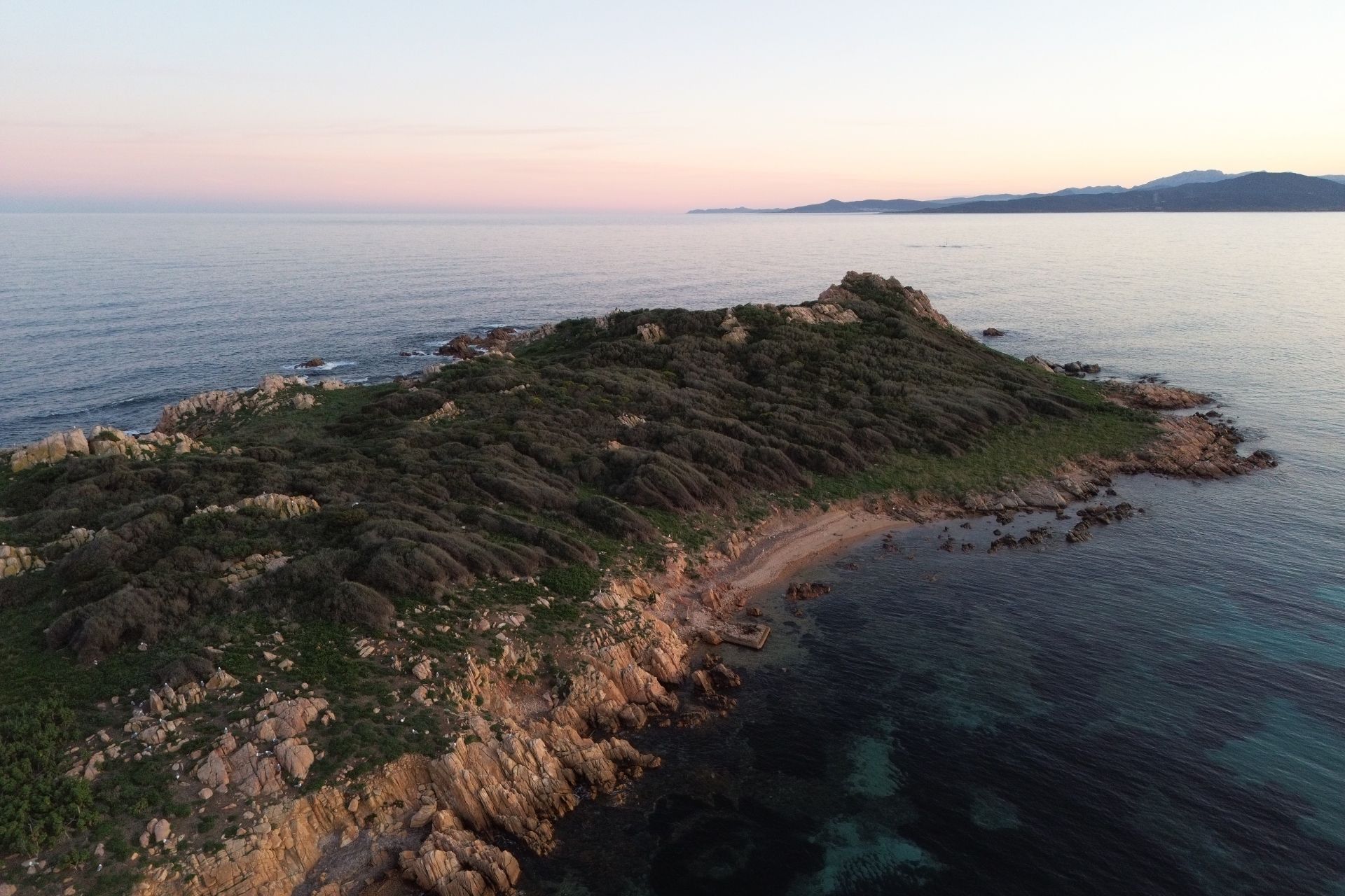 Immergiti nelle acque cristalline delle Piscine di Molara, Sardegna, durante un'esperienza di snorkeling al tramonto. Esplora i fondali dell'Area Marina Protetta di Tavolara con pesci colorati e paesaggi mozzafiato.