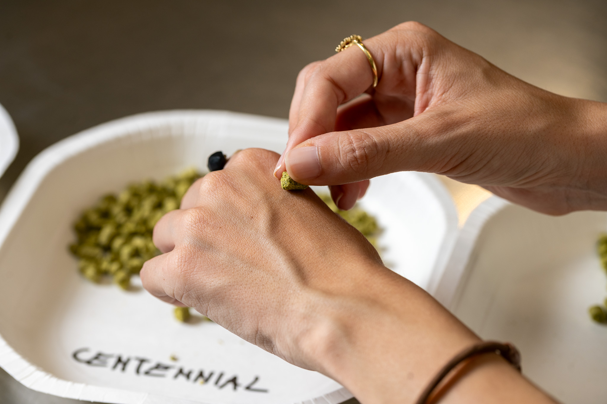 Una persona tiene in mano un luppolo e sembra preparare un ingrediente per la birra. Nel piatto ci sono altri ingredienti per la birra.