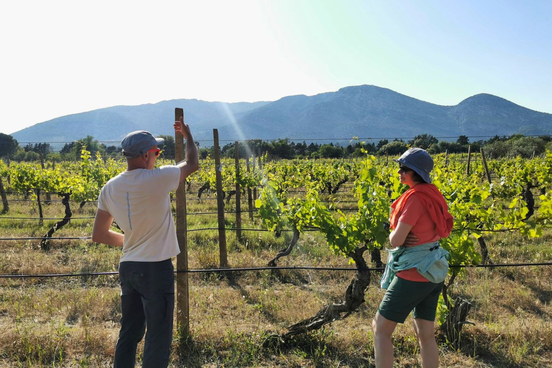 Dos personas en un viñedo con montañas al fondo