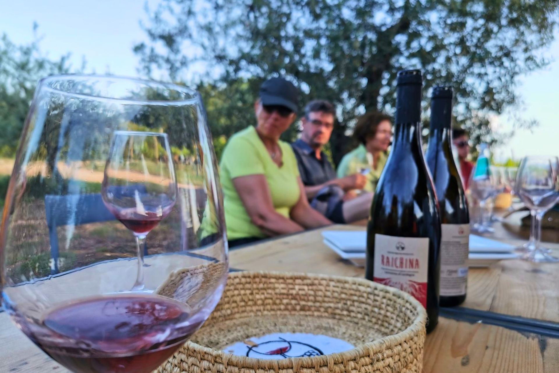 Un grupo de personas sentadas alrededor de una mesa al aire libre con botellas de vino y copas, en un entorno naturalista con árboles alrededor