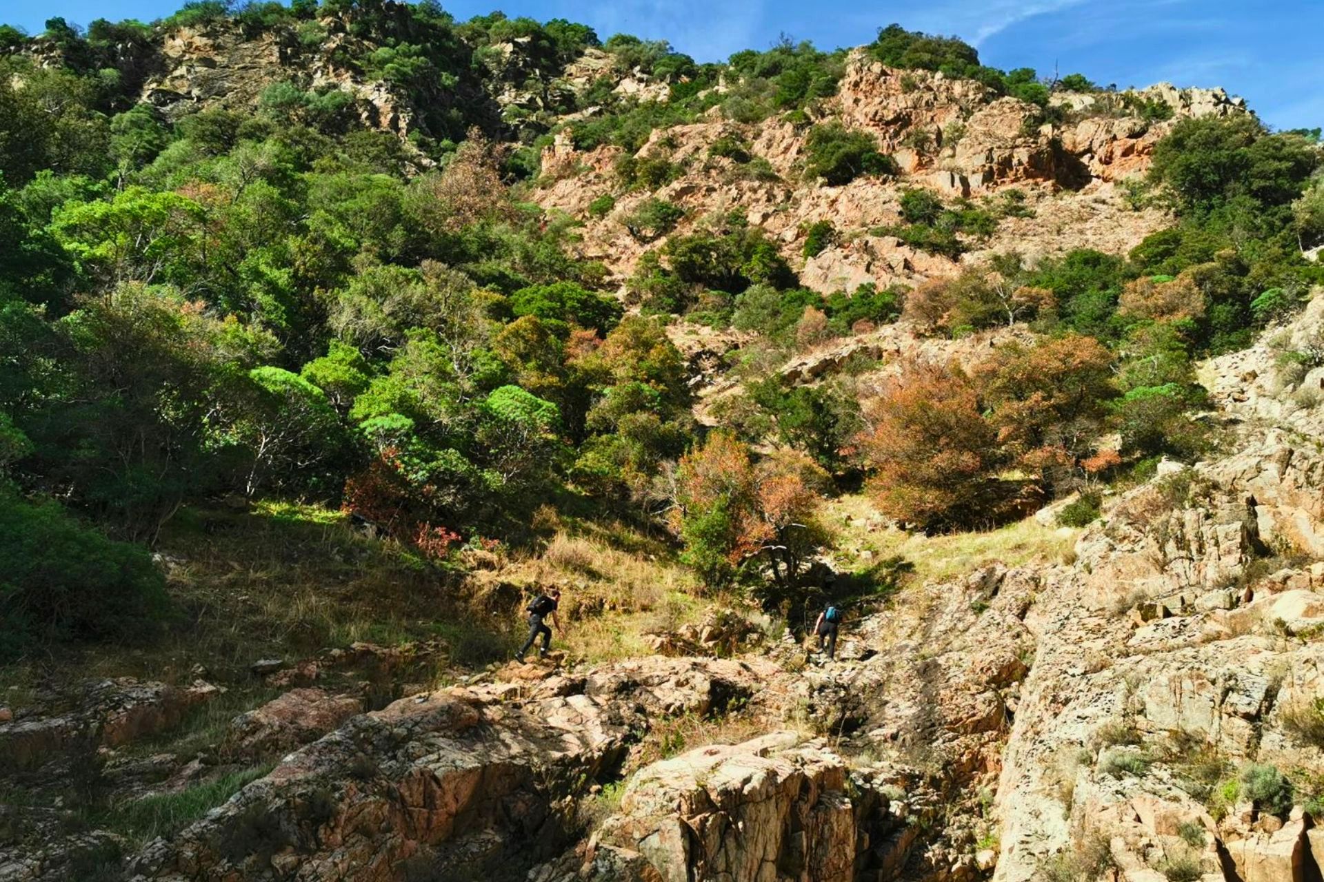 Dos personas caminan por un sendero rocoso en una zona verde