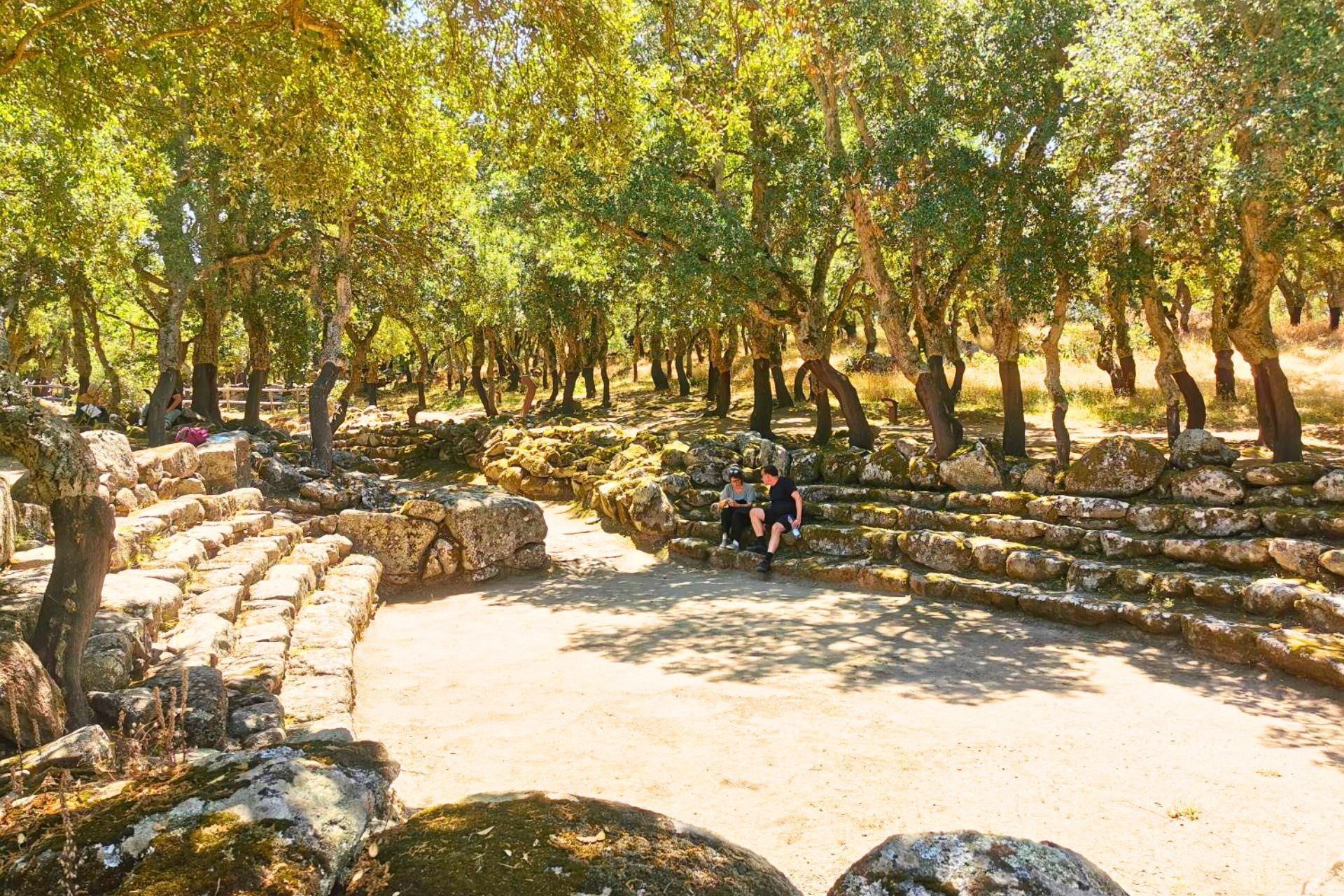 Dos personas sentadas en escalones de piedra en un parque arbolado