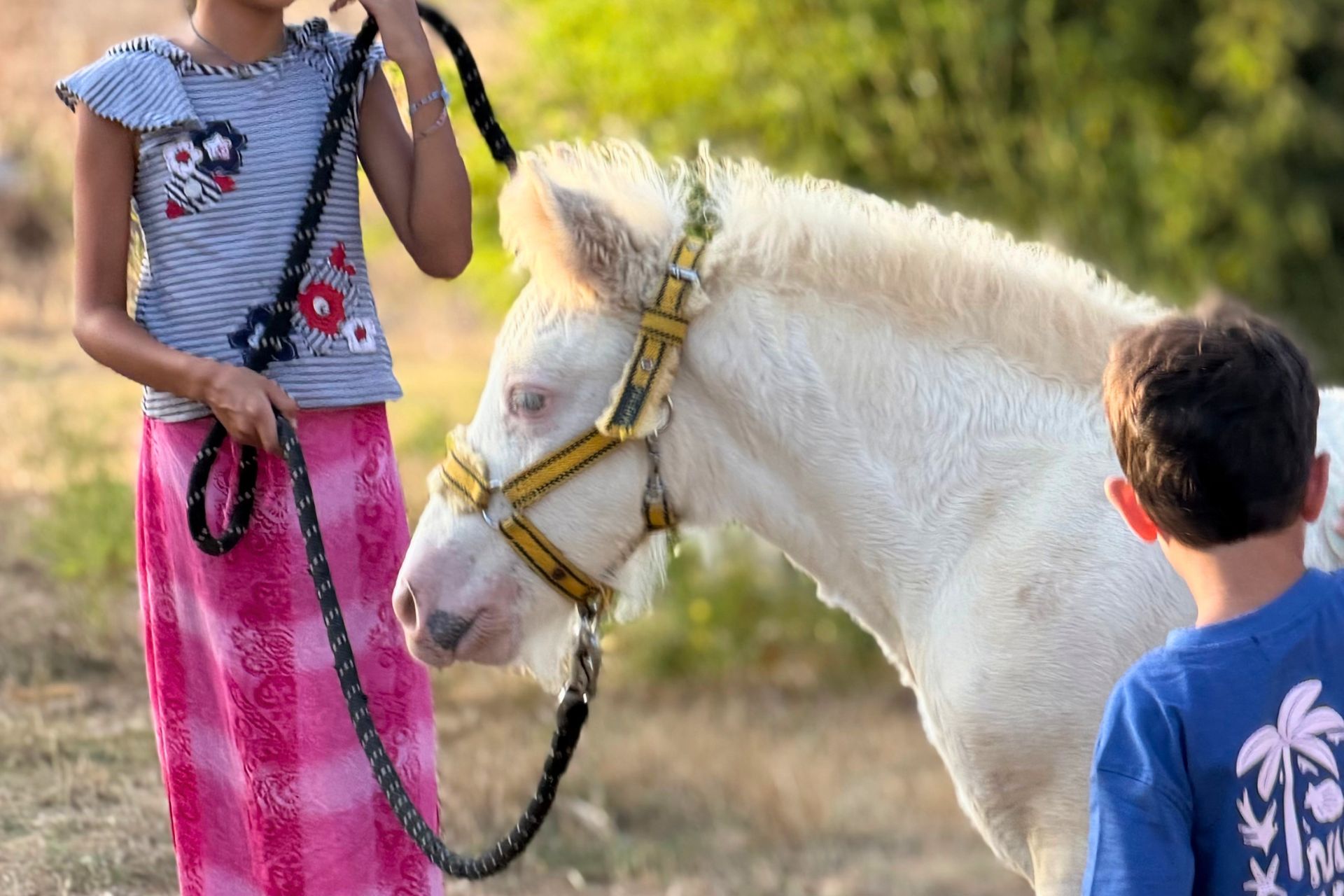 Two children watch a horse and an alpaca on a farm in the countryside in northern Sardinia