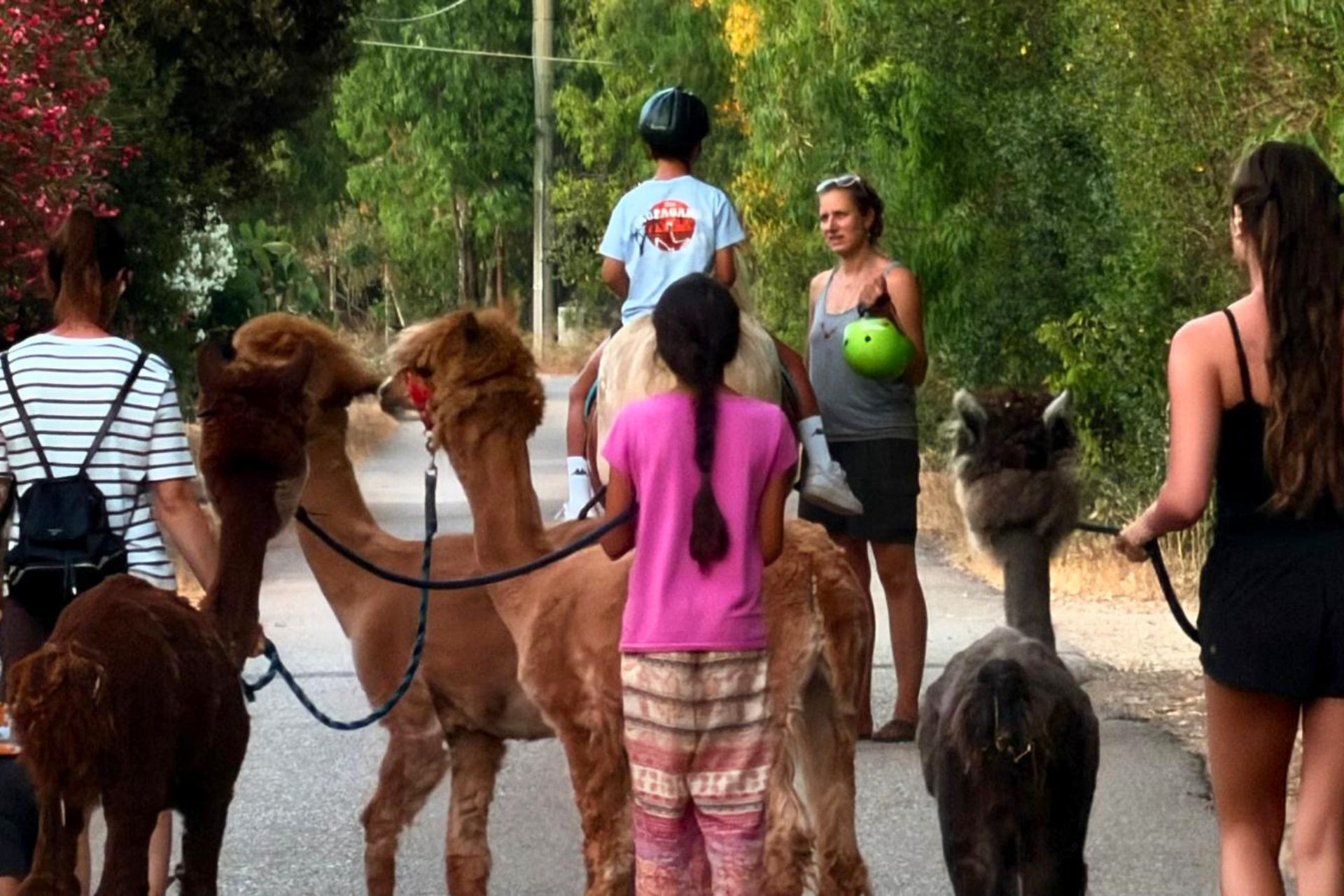 Group of people with alpacas and horses on a guided walk in the Sardinian countryside
