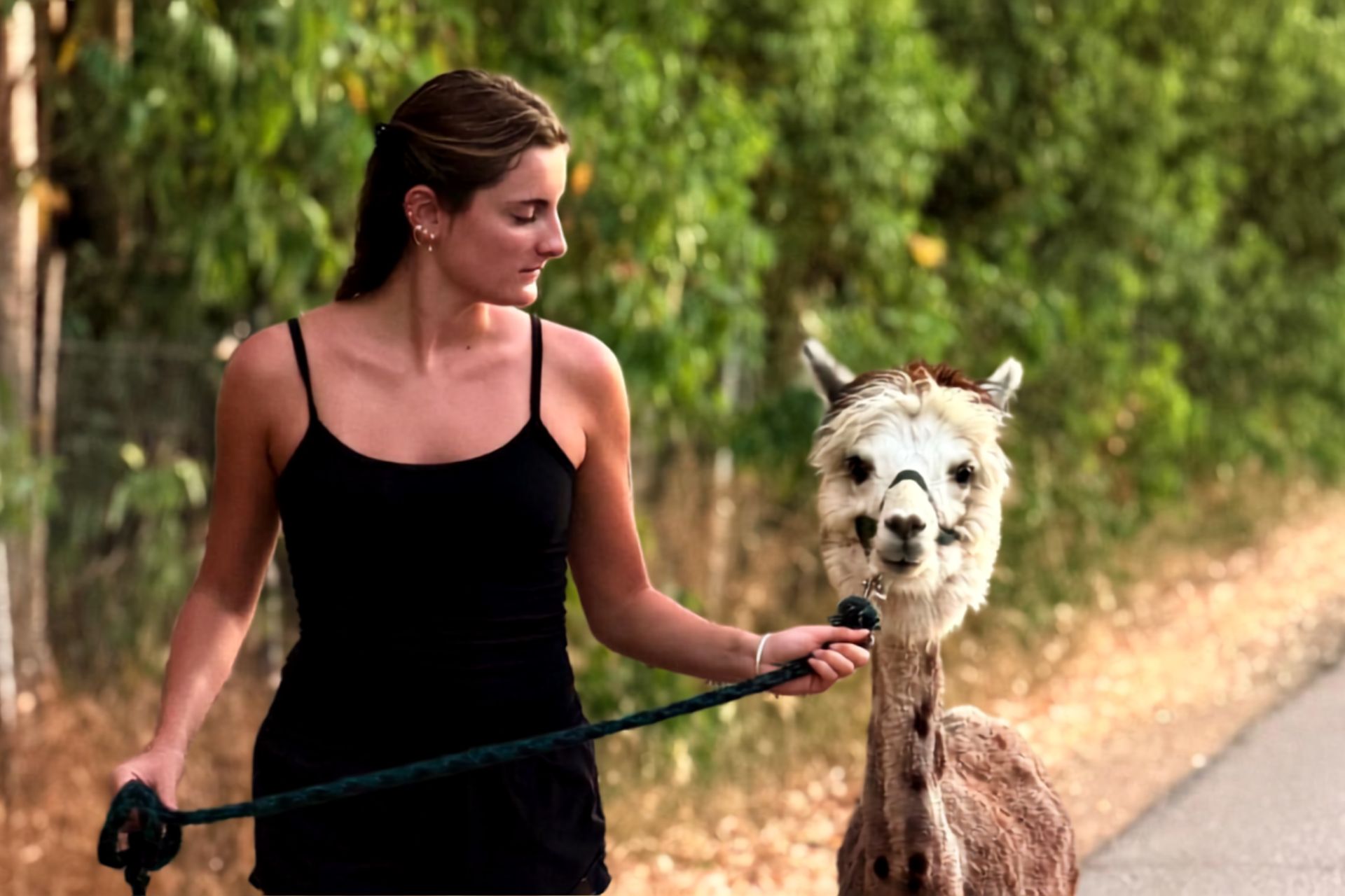 A woman leads an alpaca along a path, with a verdant landscape in the background.