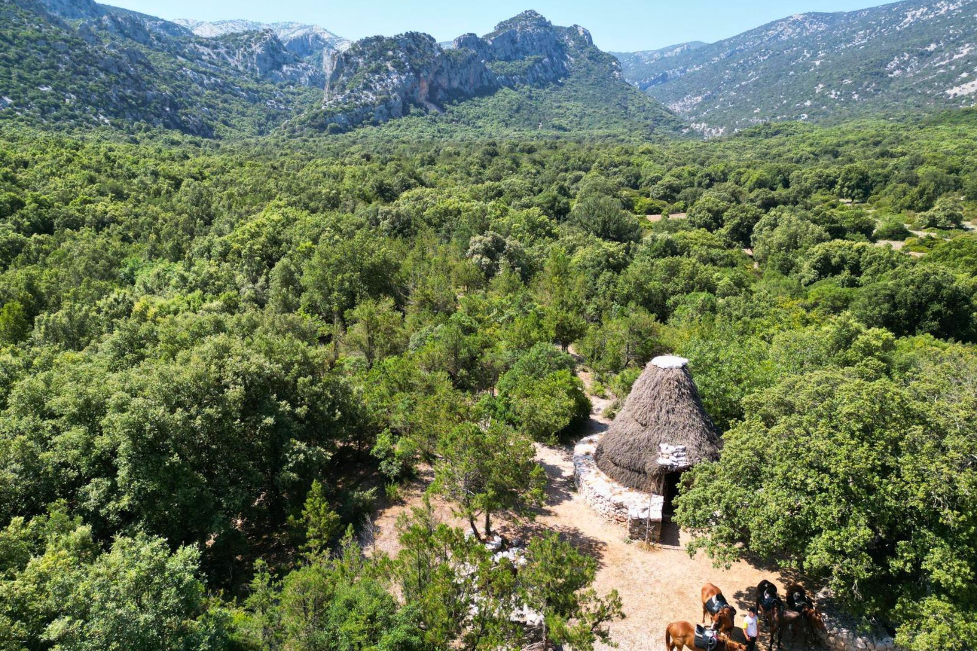 Passeggiata a cavallo nella Valle di Lanaitto, tra Oliena e Dorgali, con sentieri immersi nella natura, visita alla Grotta Rifugio e all'antico forno di calce