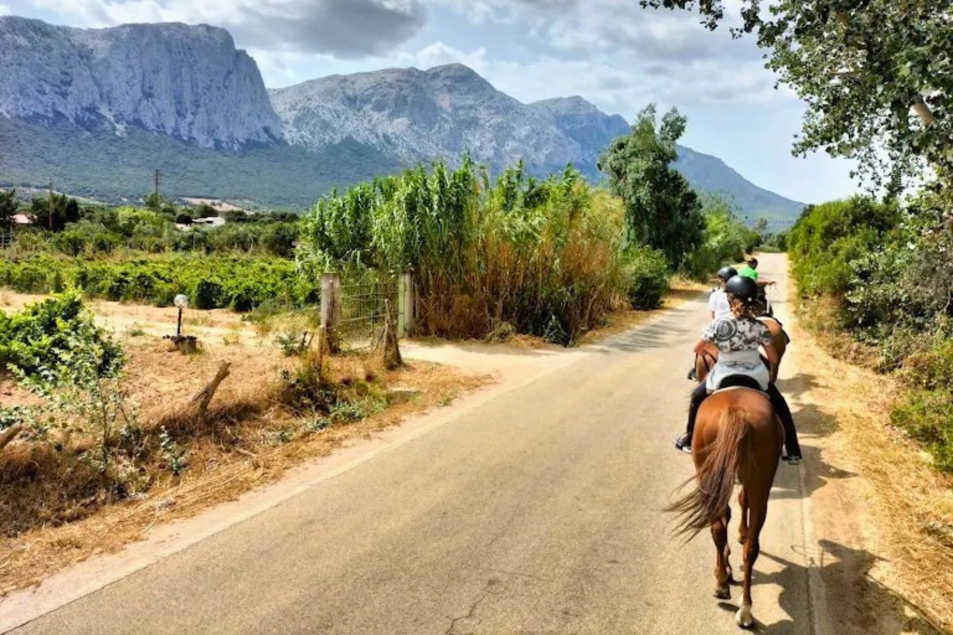 Persone che cavalcano cavalli lungo una strada di campagna con montagne sullo sfondo