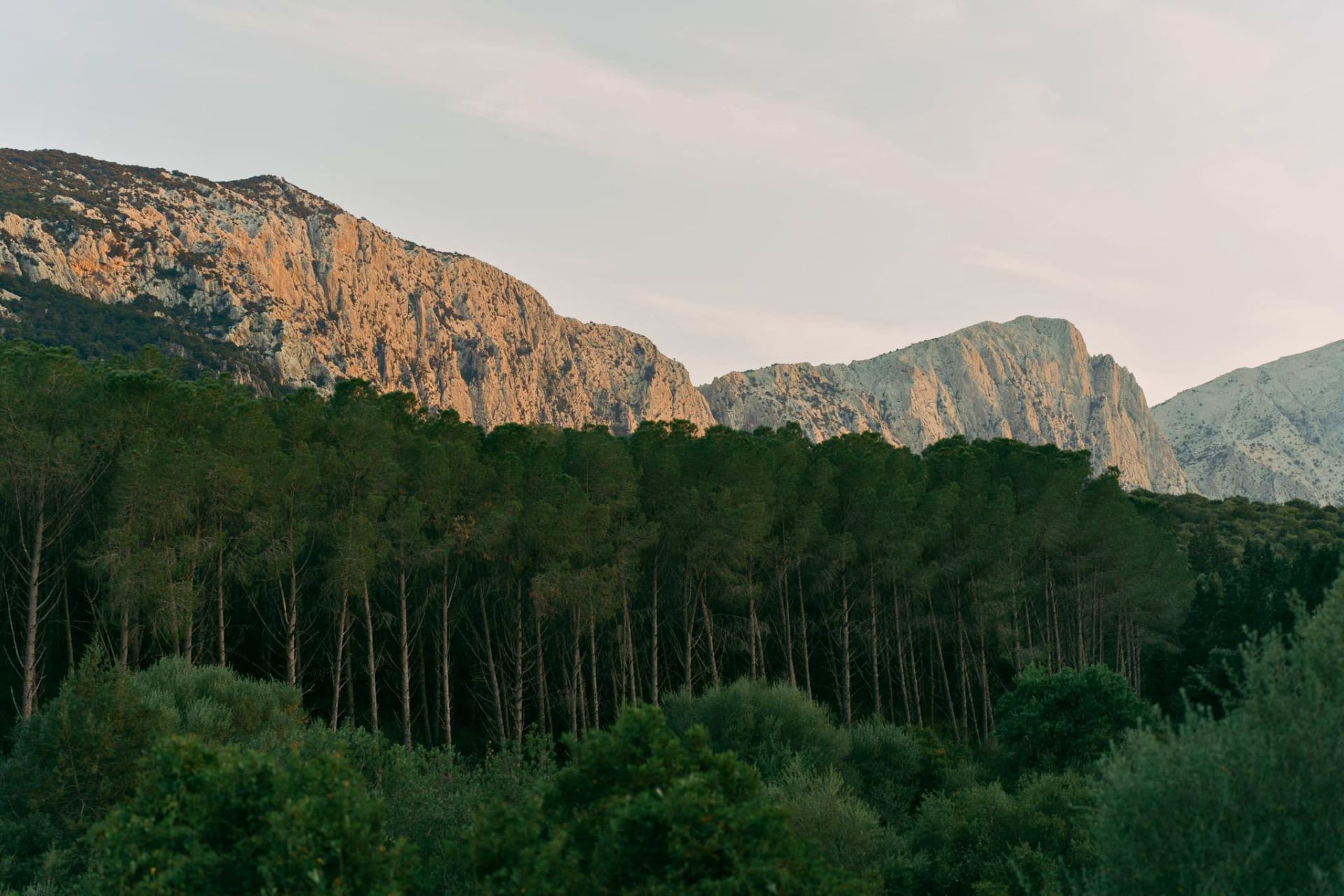 Passeggiata a cavallo nella Valle di Lanaitto, tra Oliena e Dorgali, con sentieri immersi nella natura, grotta rifugio e antico forno di calce