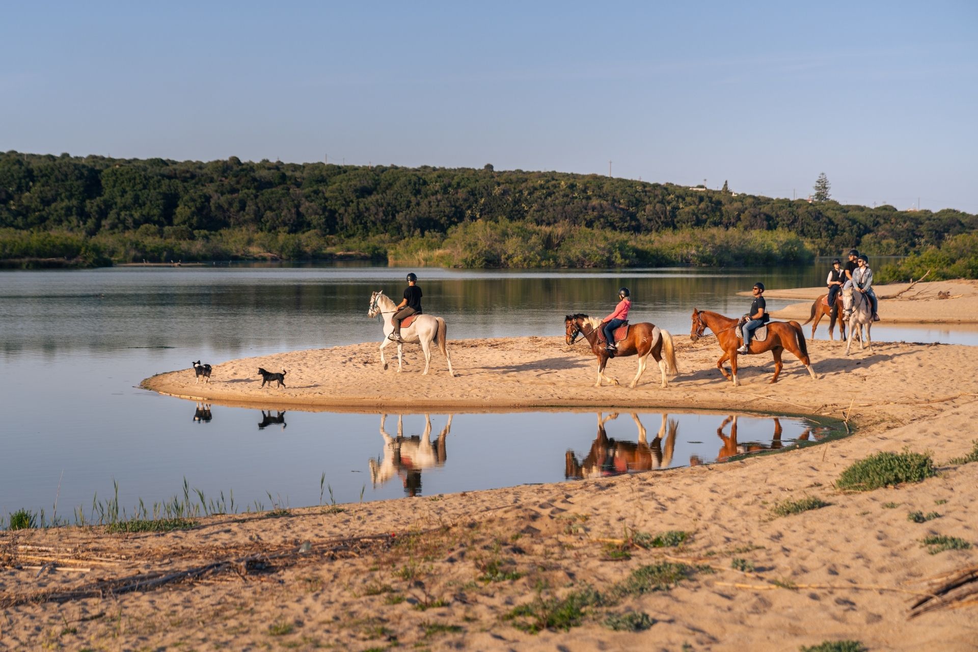Horseback ride on the beach of Orosei at sunset, at the mouth of the Cedrino river.