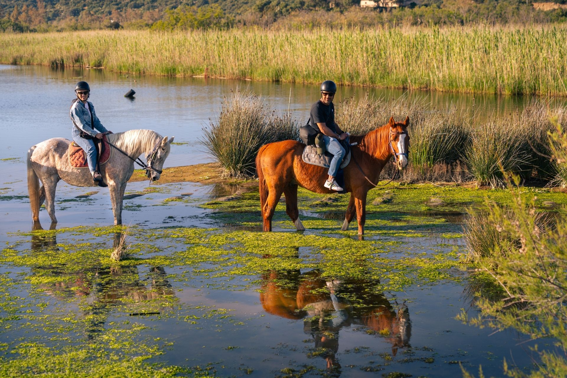 Horseback ride on the beach of Orosei at sunset, at the mouth of the Cedrino river.