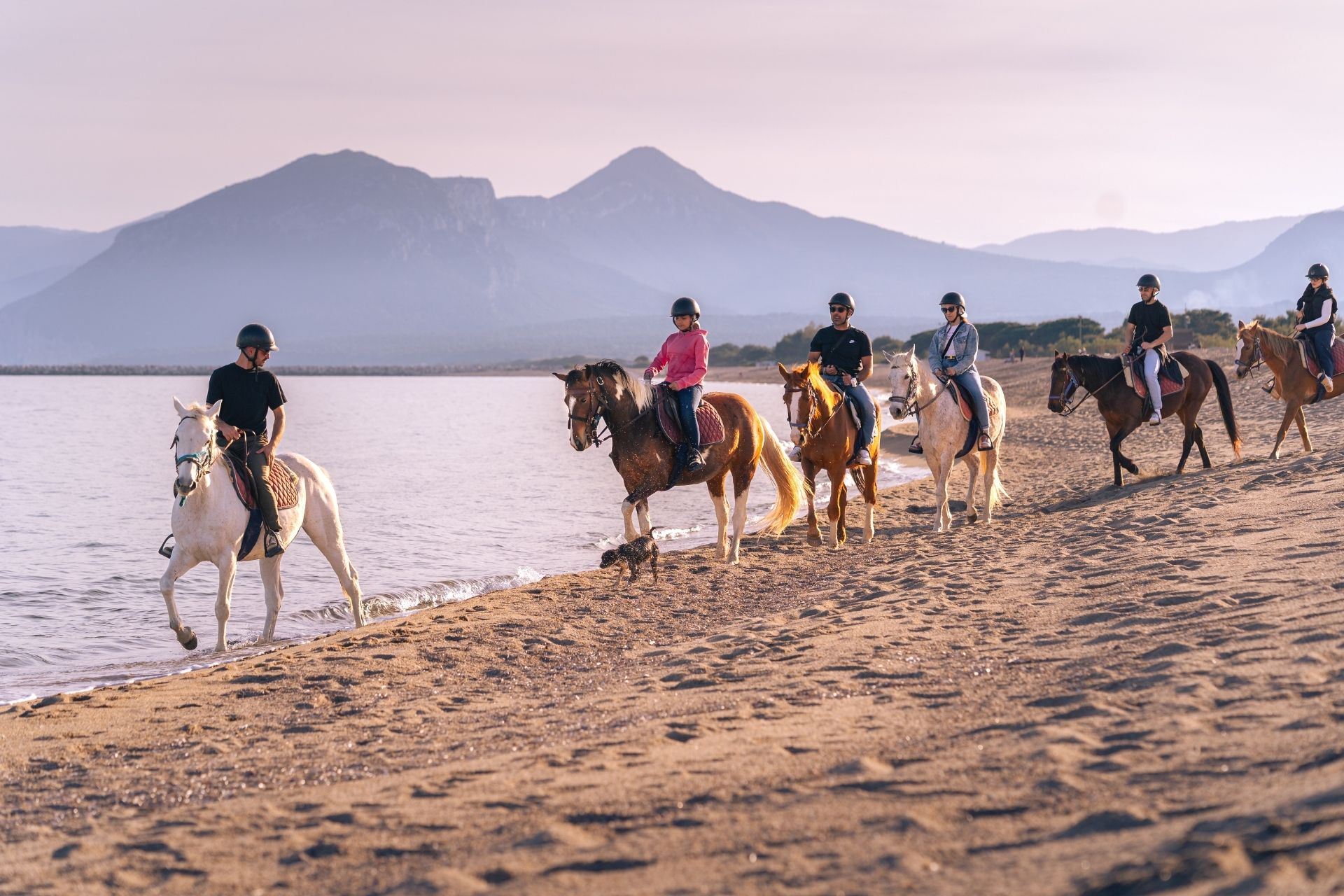 Horseback ride on the beach of Orosei at sunset, at the mouth of the Cedrino river.