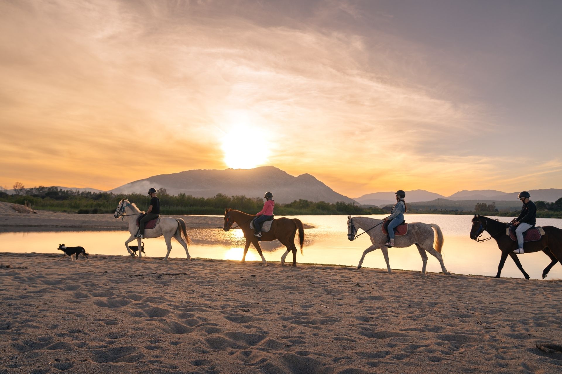 Horseback ride on the beach of Orosei at sunset, at the mouth of the Cedrino river.
