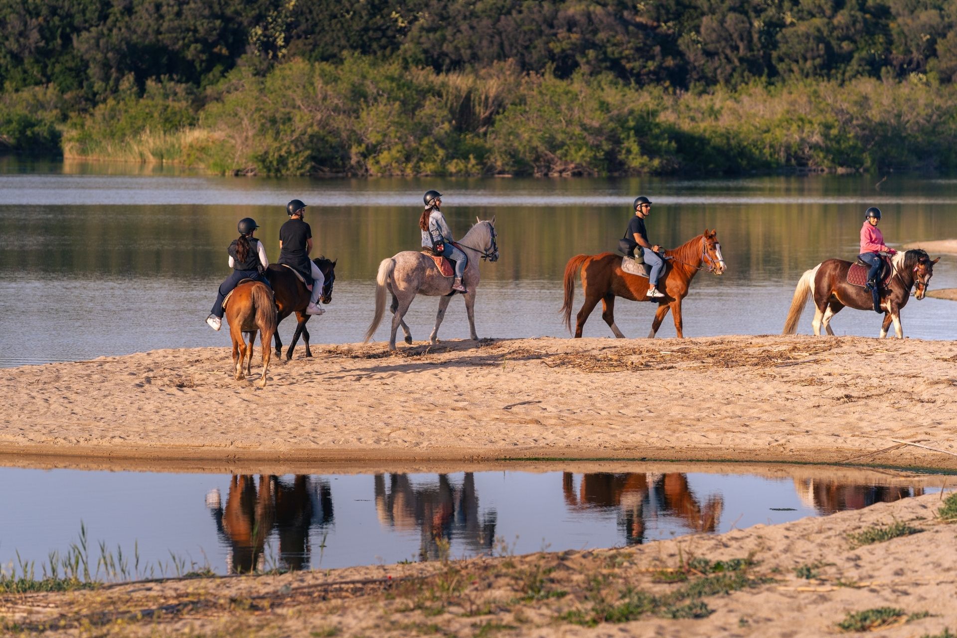 Horseback ride on the beach of Orosei at sunset, at the mouth of the Cedrino river.