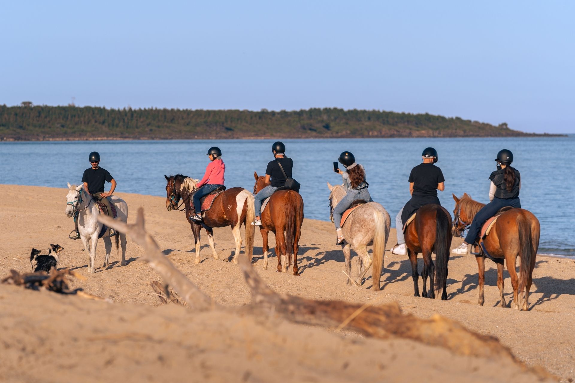 Horseback ride on the beach of Orosei at sunset, at the mouth of the Cedrino river.