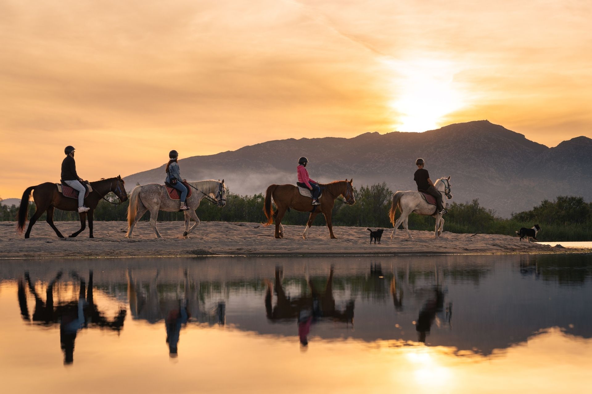 Horseback ride on the beach of Orosei at sunset, at the mouth of the Cedrino river.