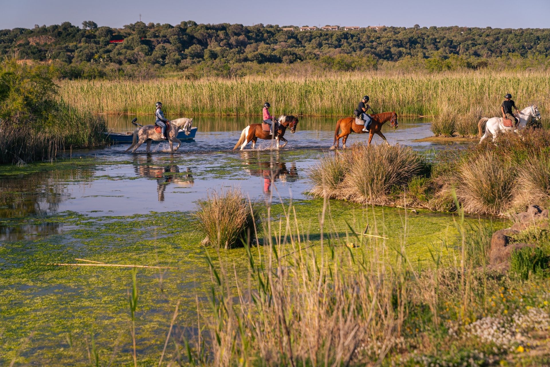 Persone a cavallo durante l'escursione all'alba a Orosei