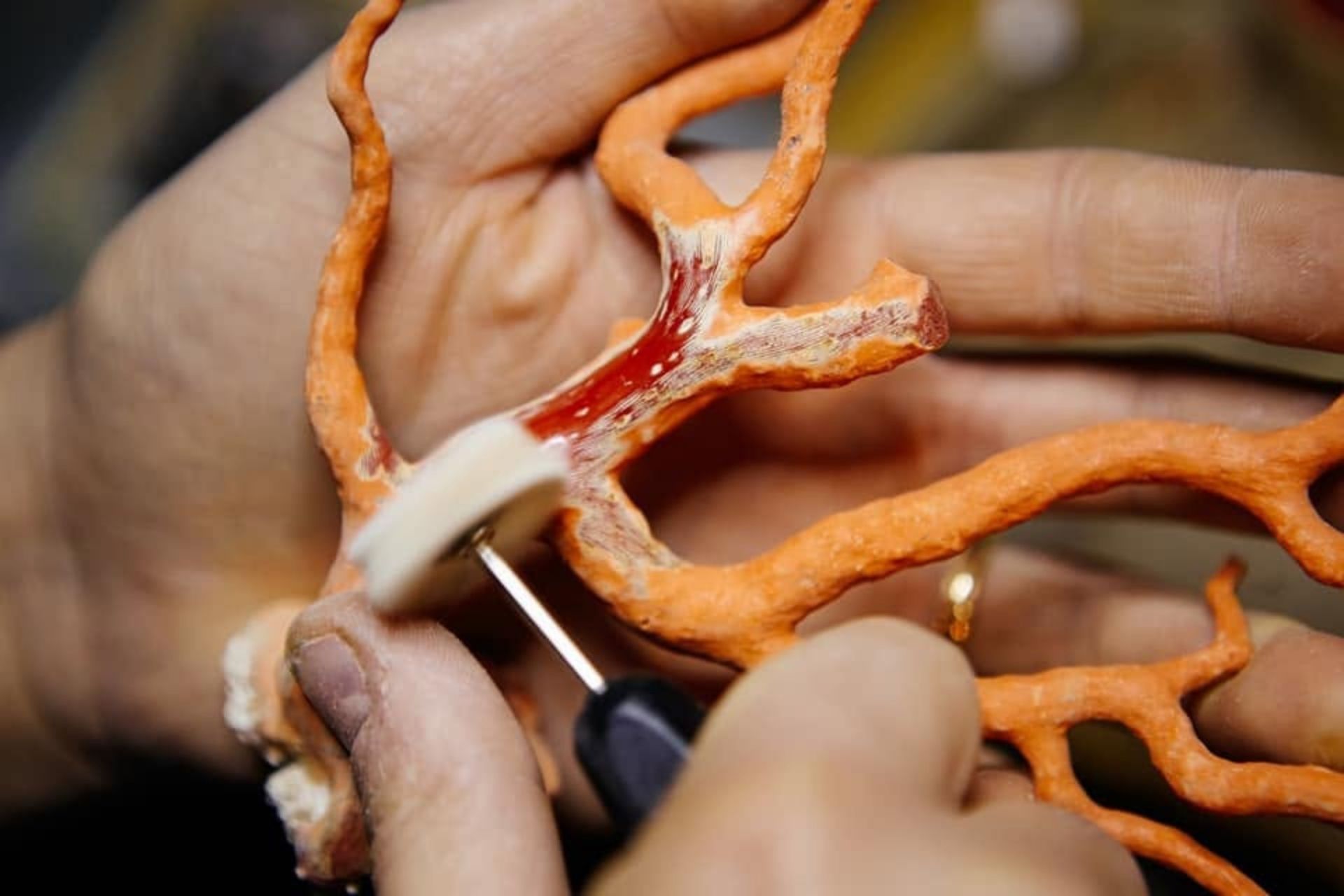 Persona che lavora con un pezzo di corallo rosso, simbolo dell'identità di Alghero, nel laboratorio di un artigiano.