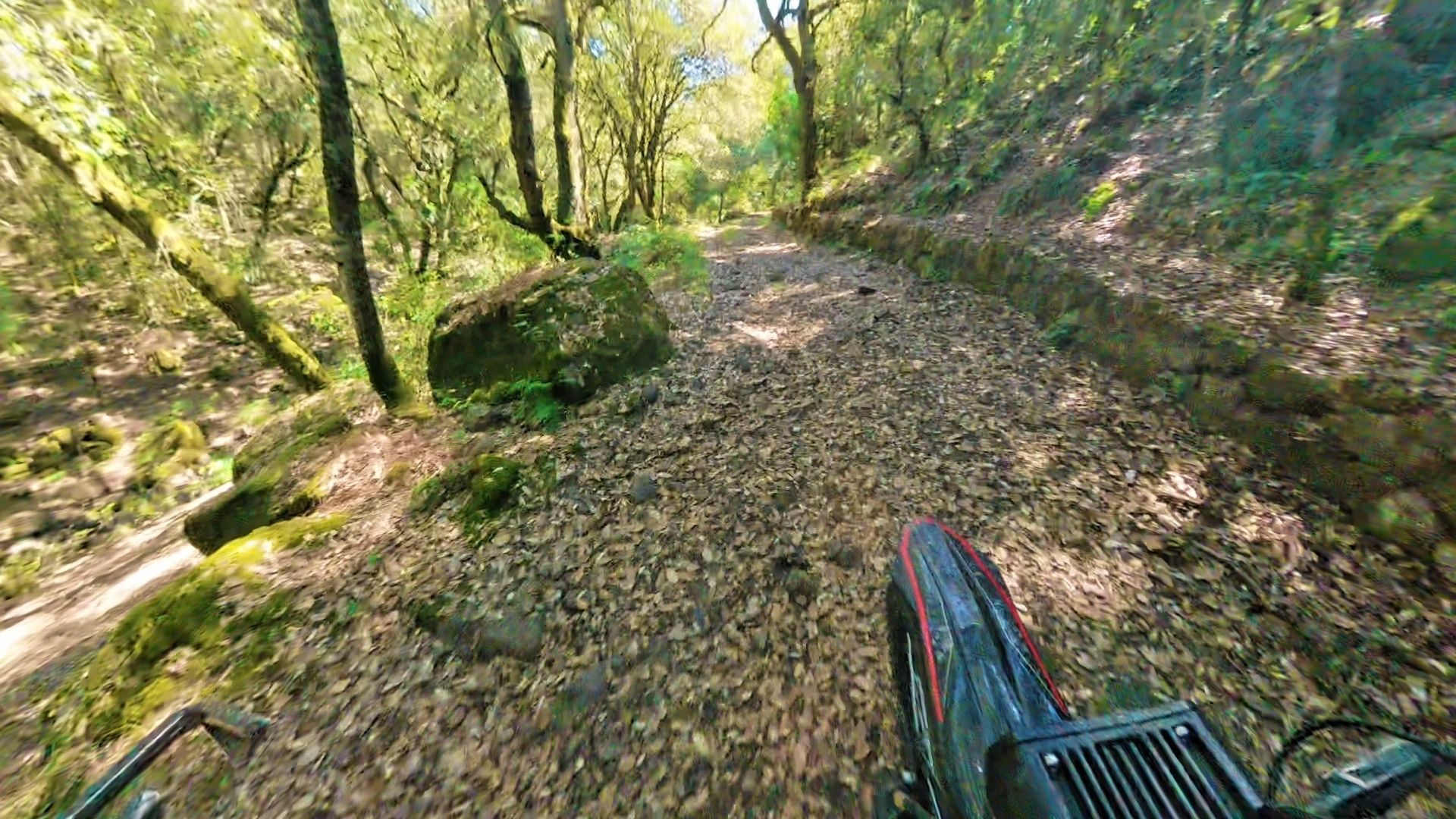 Sentiero di terra tra boschi con una moto elettrica