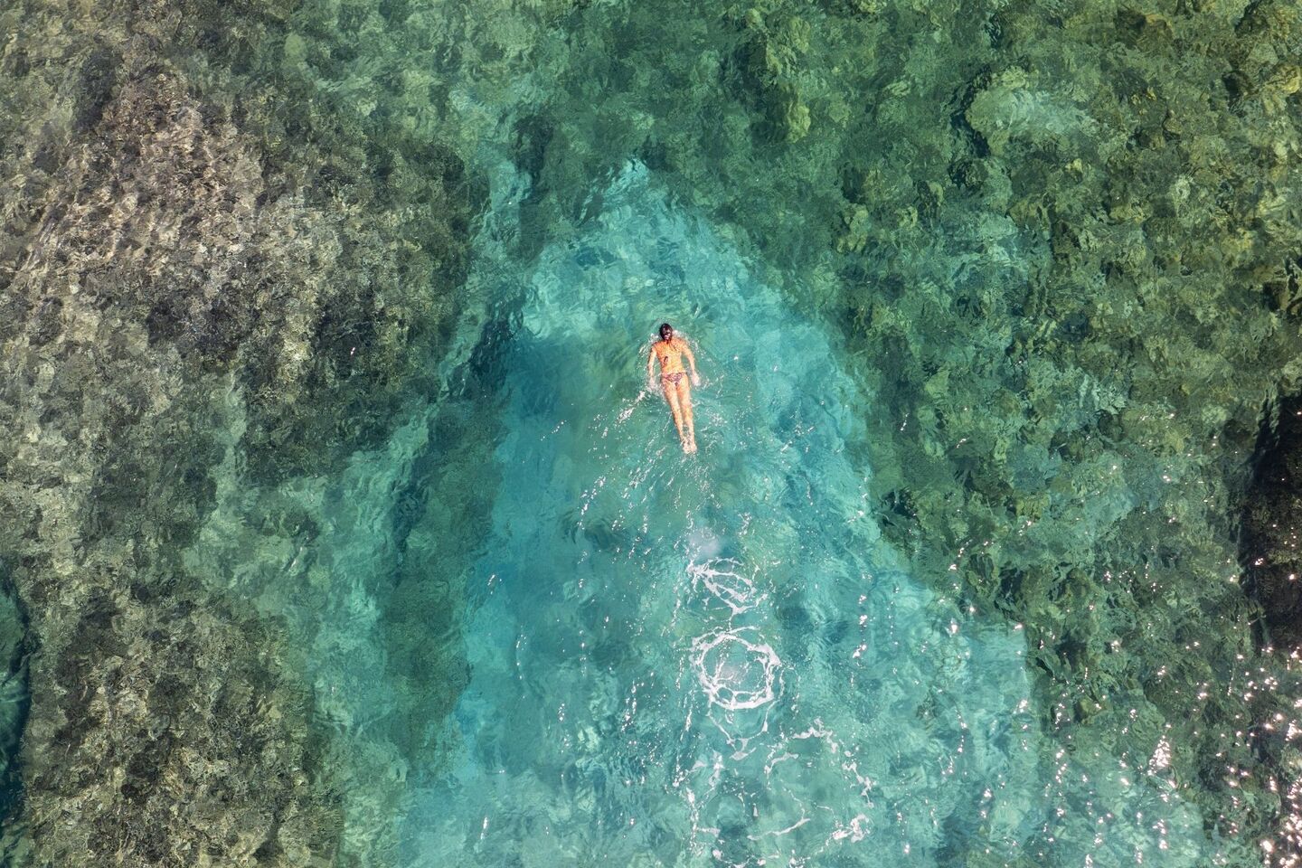 A participant is snorkeling during the dinghy tour to Porto Conte and Capo Caccia